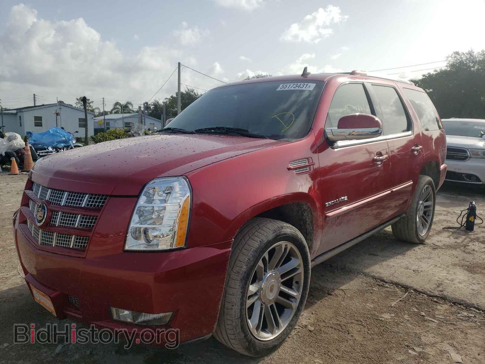 2013 CADILLAC ESCALADE - VIN: 1GYS3CEF7DR209178 - Фото 2