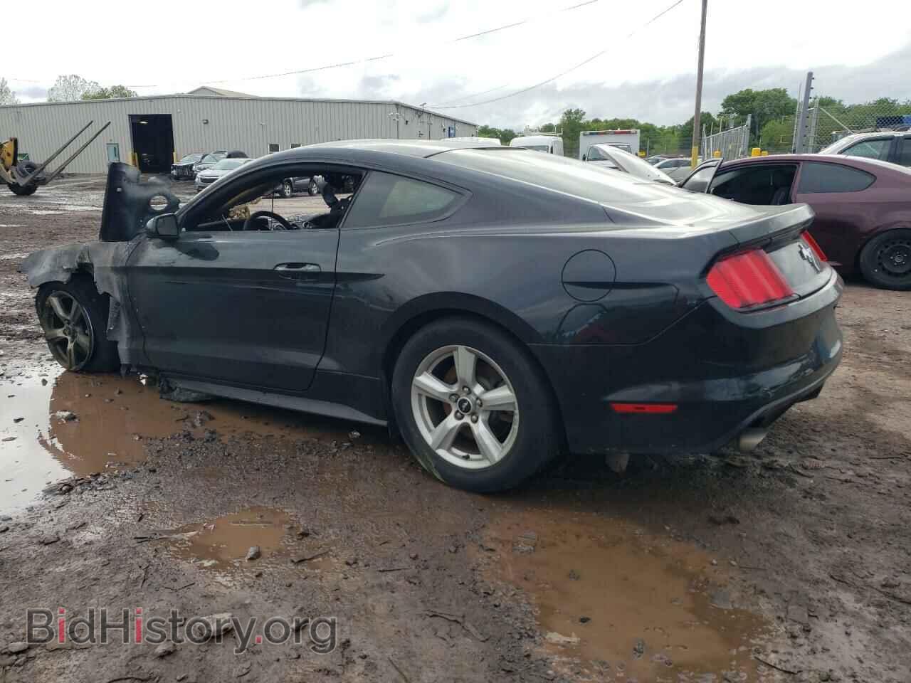 2017 FORD ALL Models - VIN: 1FA6P8AM0H5219552 - Photo 2