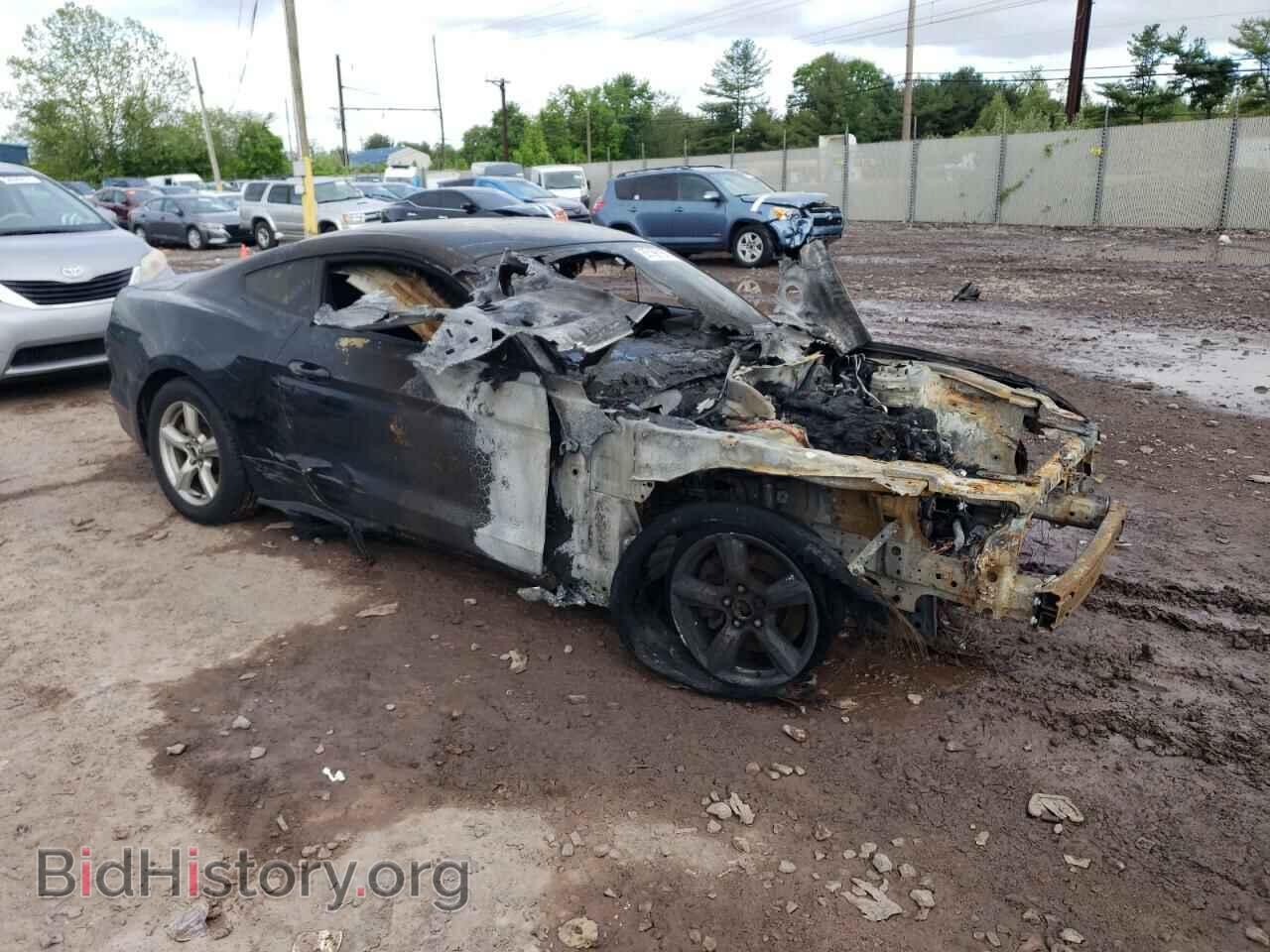 2017 FORD ALL Models - VIN: 1FA6P8AM0H5219552 - Photo 4