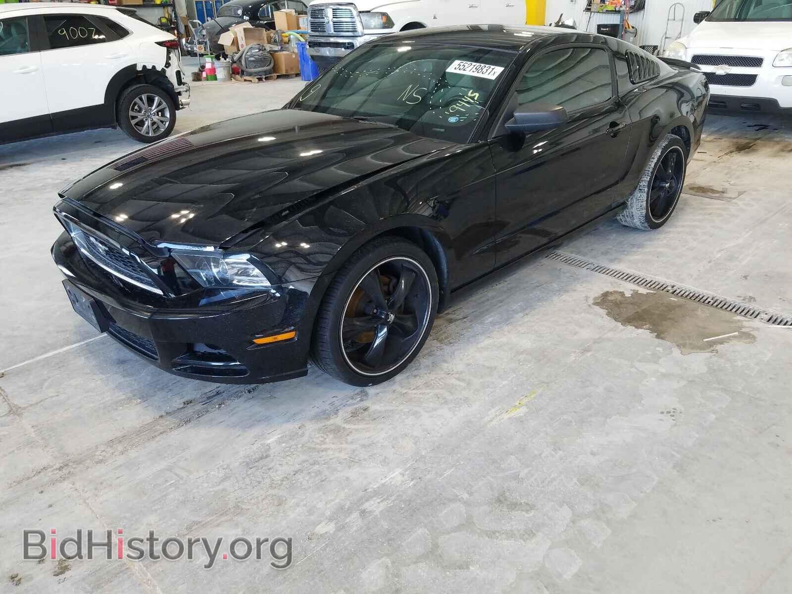 2013 FORD MUSTANG - VIN: 1ZVBP8AM7D5269445 - Фото 2