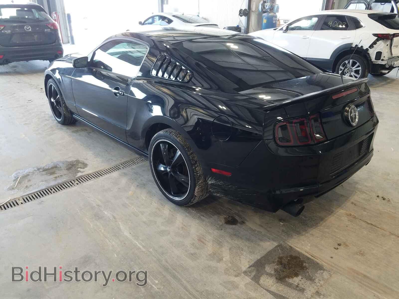 2013 FORD MUSTANG - VIN: 1ZVBP8AM7D5269445 - Фото 3
