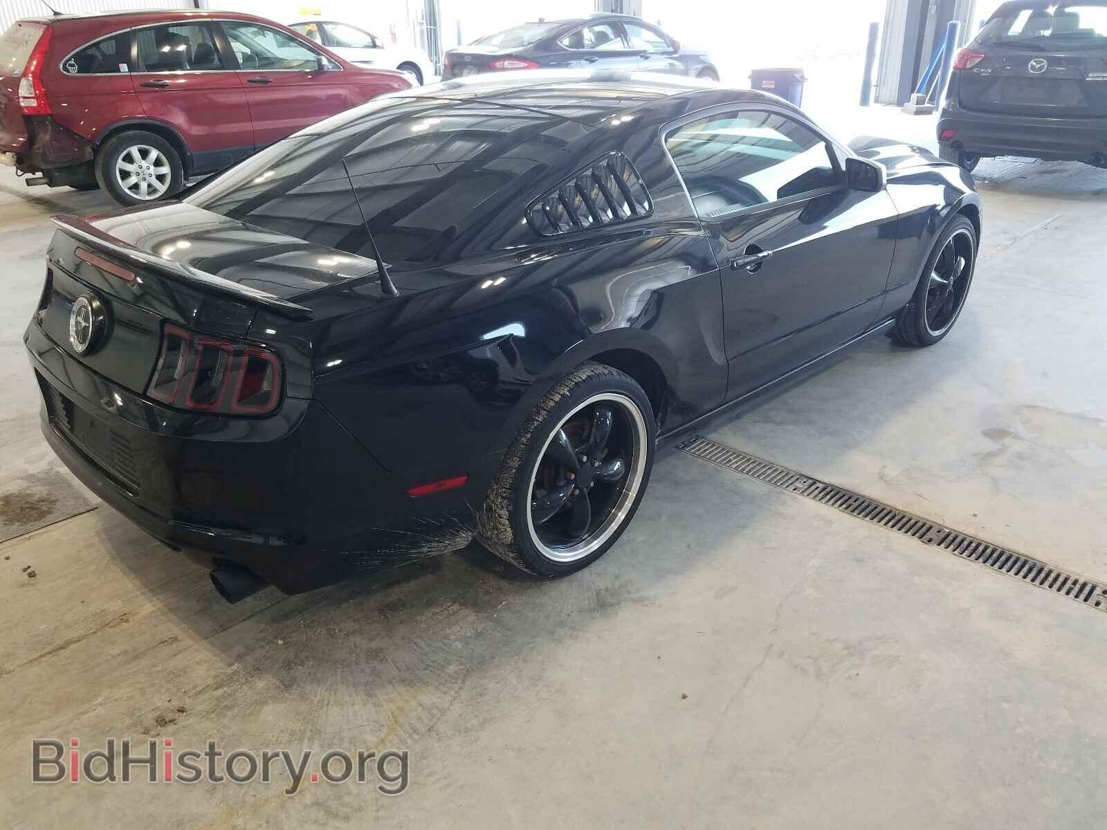 2013 FORD MUSTANG - VIN: 1ZVBP8AM7D5269445 - Фото 4