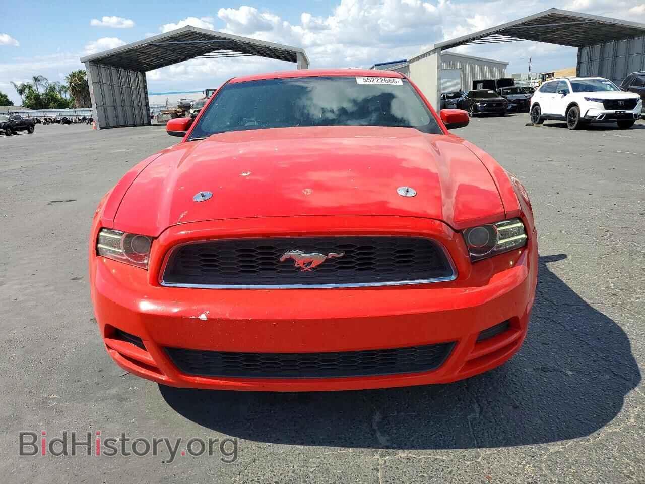 2013 FORD MUSTANG - VIN: 1ZVBP8AM0D5242118 - Фото 5