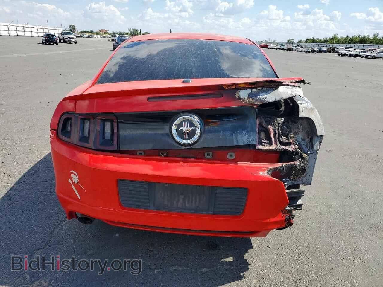 2013 FORD MUSTANG - VIN: 1ZVBP8AM0D5242118 - Фото 6
