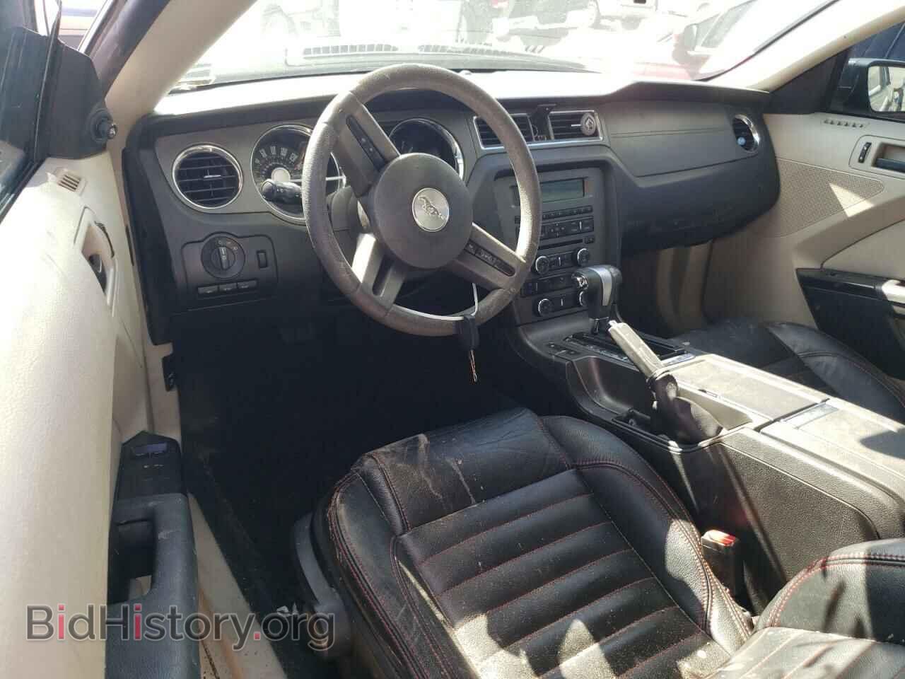 2011 FORD ALL Models - VIN: 1ZVBP8AM6B5117301 - Photo 8