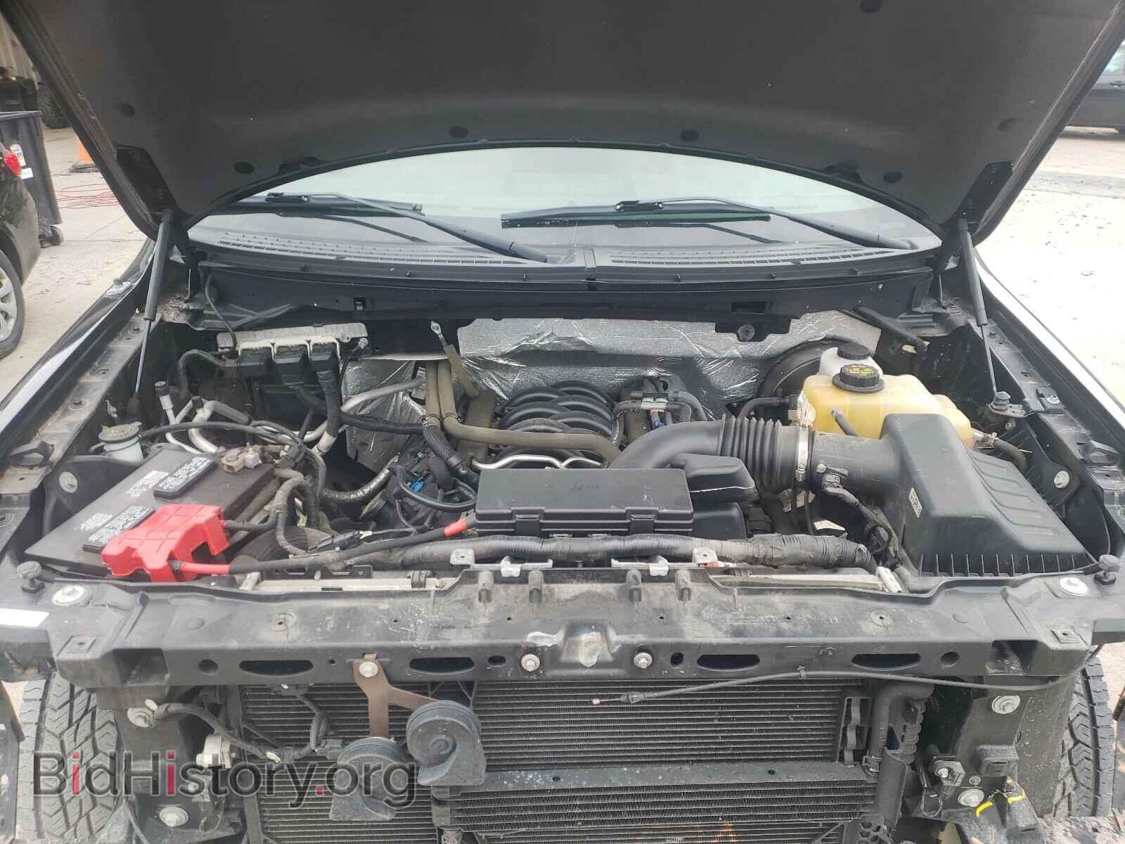 2013 FORD F150 - VIN: 1FTFW1CF3DFC68946 - Фото 7
