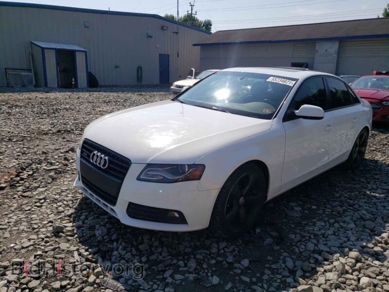 2011 Audi A4 (VIN WAUFFAFL9BN016815) — фото 2 из 10