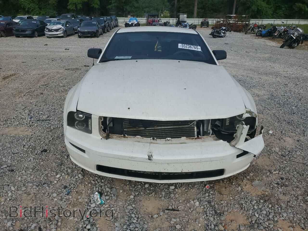 2006 FORD MUSTANG - VIN: 1ZVFT82H965109343 - Фото 5