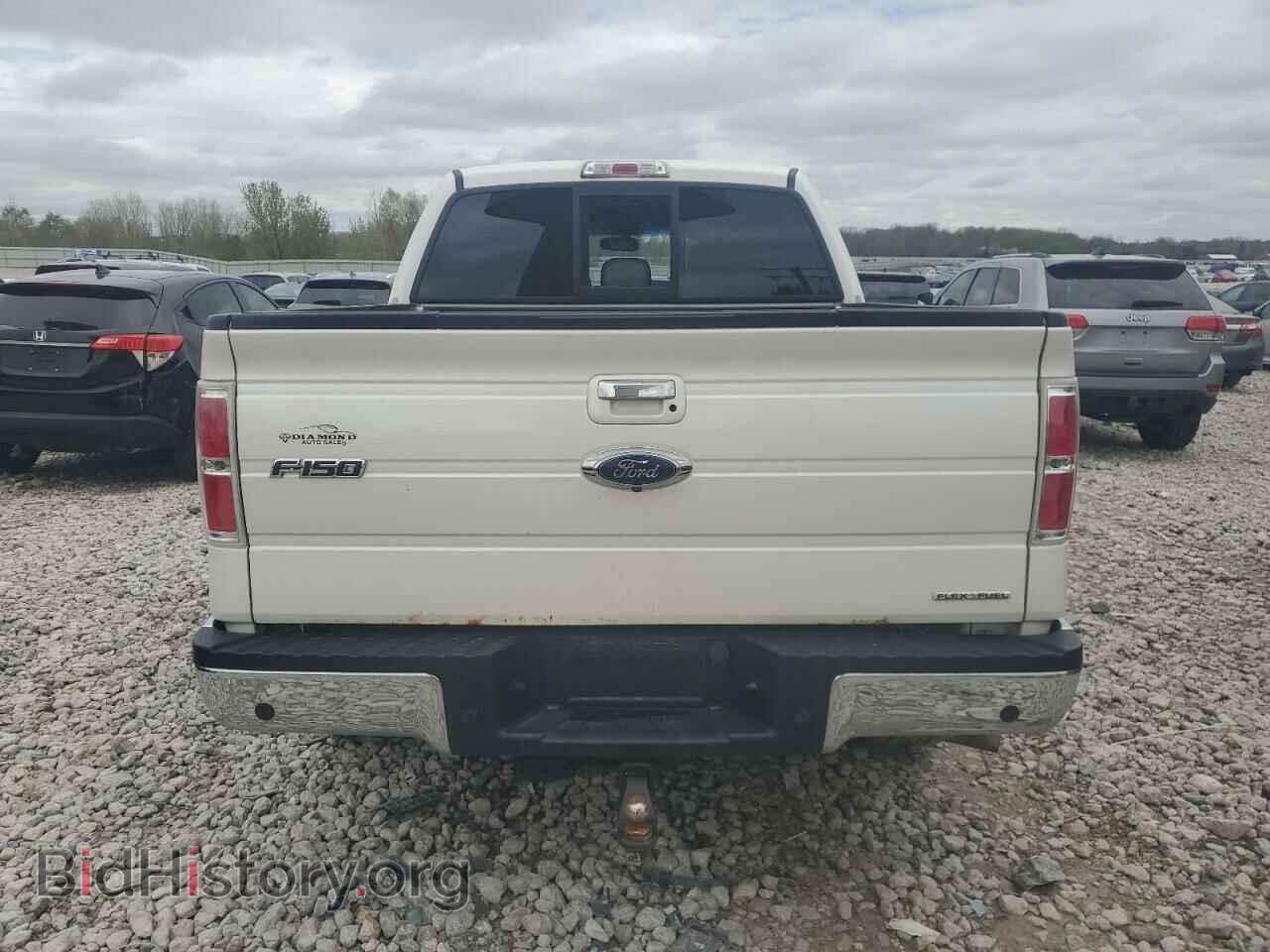 2014 FORD F-150 - VIN: 1FTFW1EF6EFA03243 - Фото 6