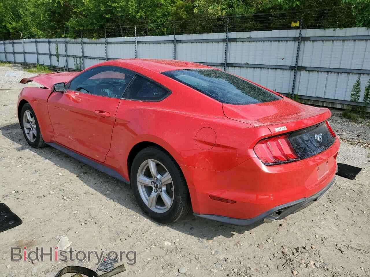 2019 FORD ALL Models - VIN: 1FA6P8TH9K5133230 - Фото 2