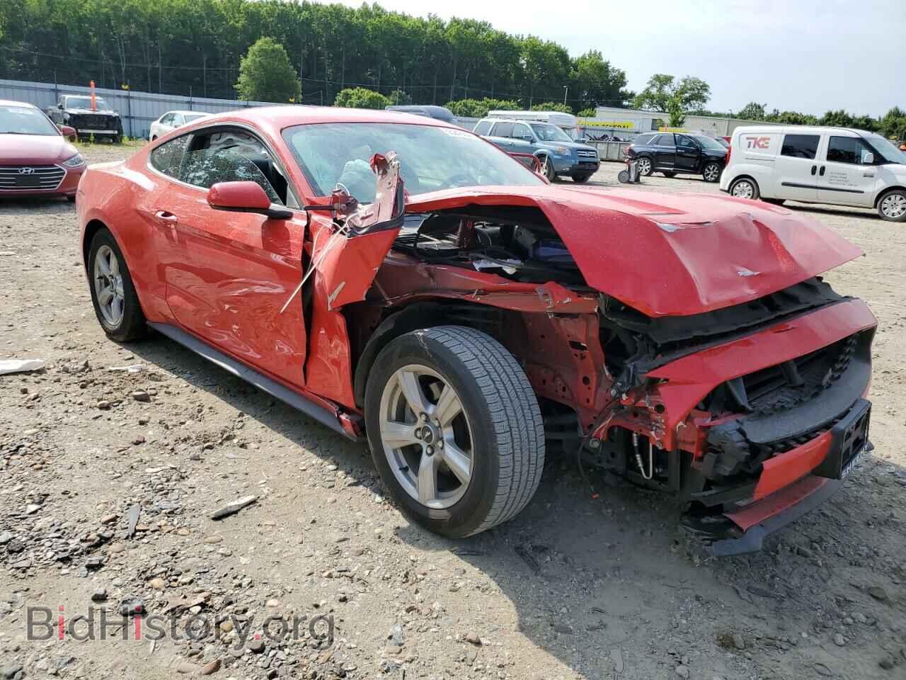 2019 FORD ALL Models - VIN: 1FA6P8TH9K5133230 - Фото 4