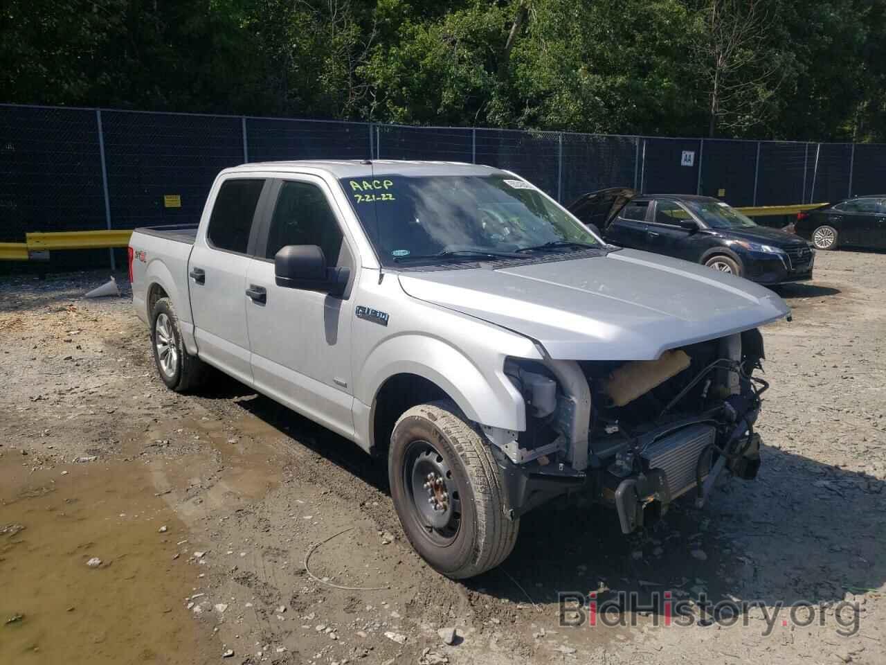 Photo 1FTEW1CP0HKE46099 - FORD F-150 2017