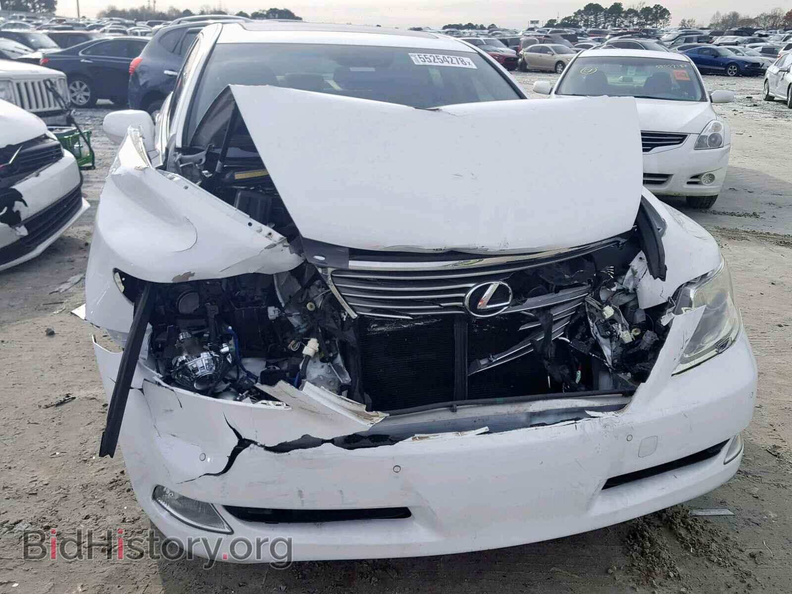 2008 LEXUS LS460 - VIN: JTHBL46F785074189 - Фото 9