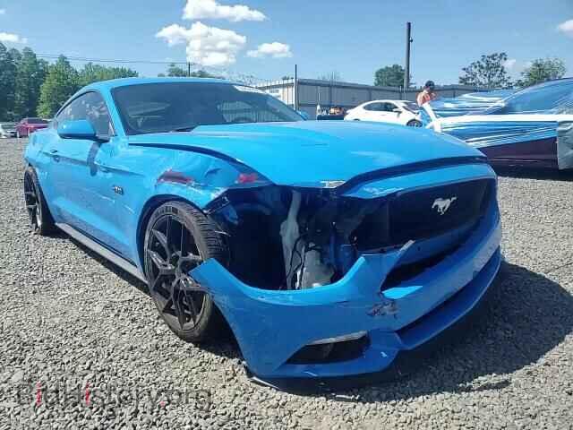 2017 FORD MUSTANG - VIN: 1FA6P8CF5H5289031 - Фото 14