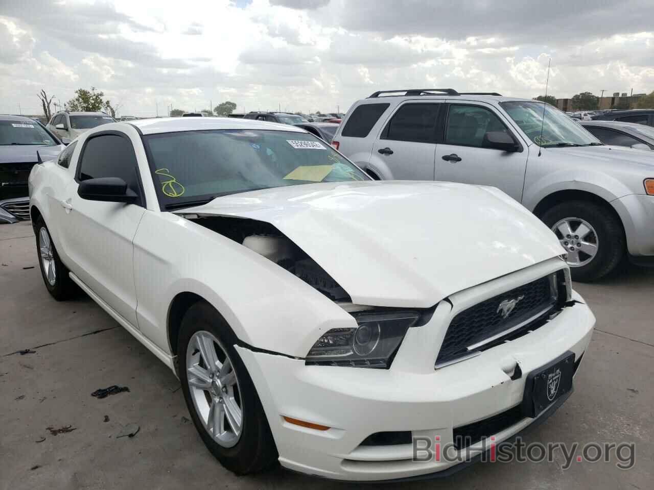 Photo 1ZVBP8AM6D5281859 - FORD MUSTANG 2013