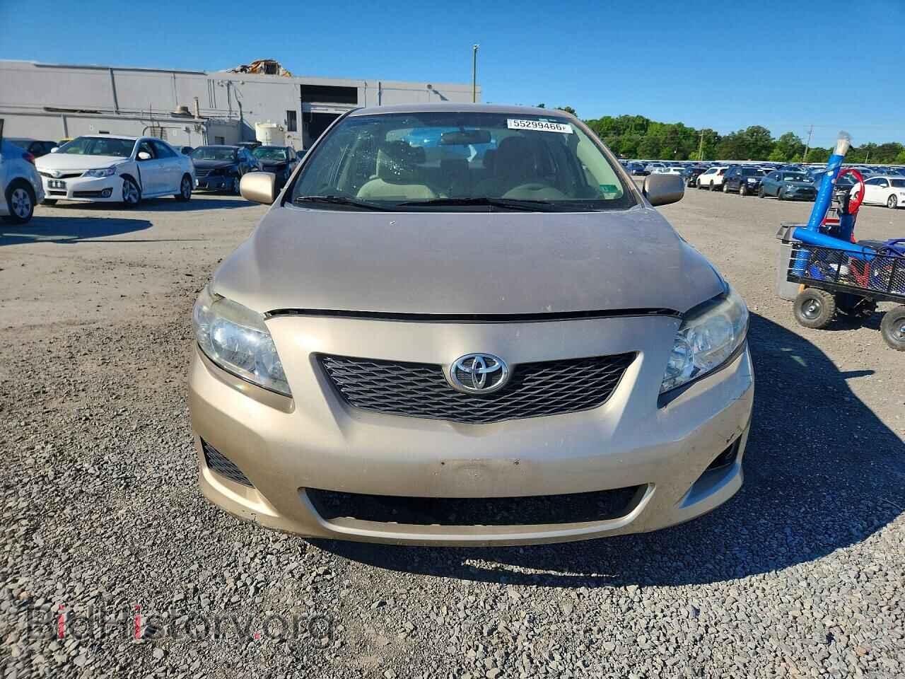 2010 TOYOTA COROLLA - VIN: 2T1BU4EE7AC301512 - Фото 5