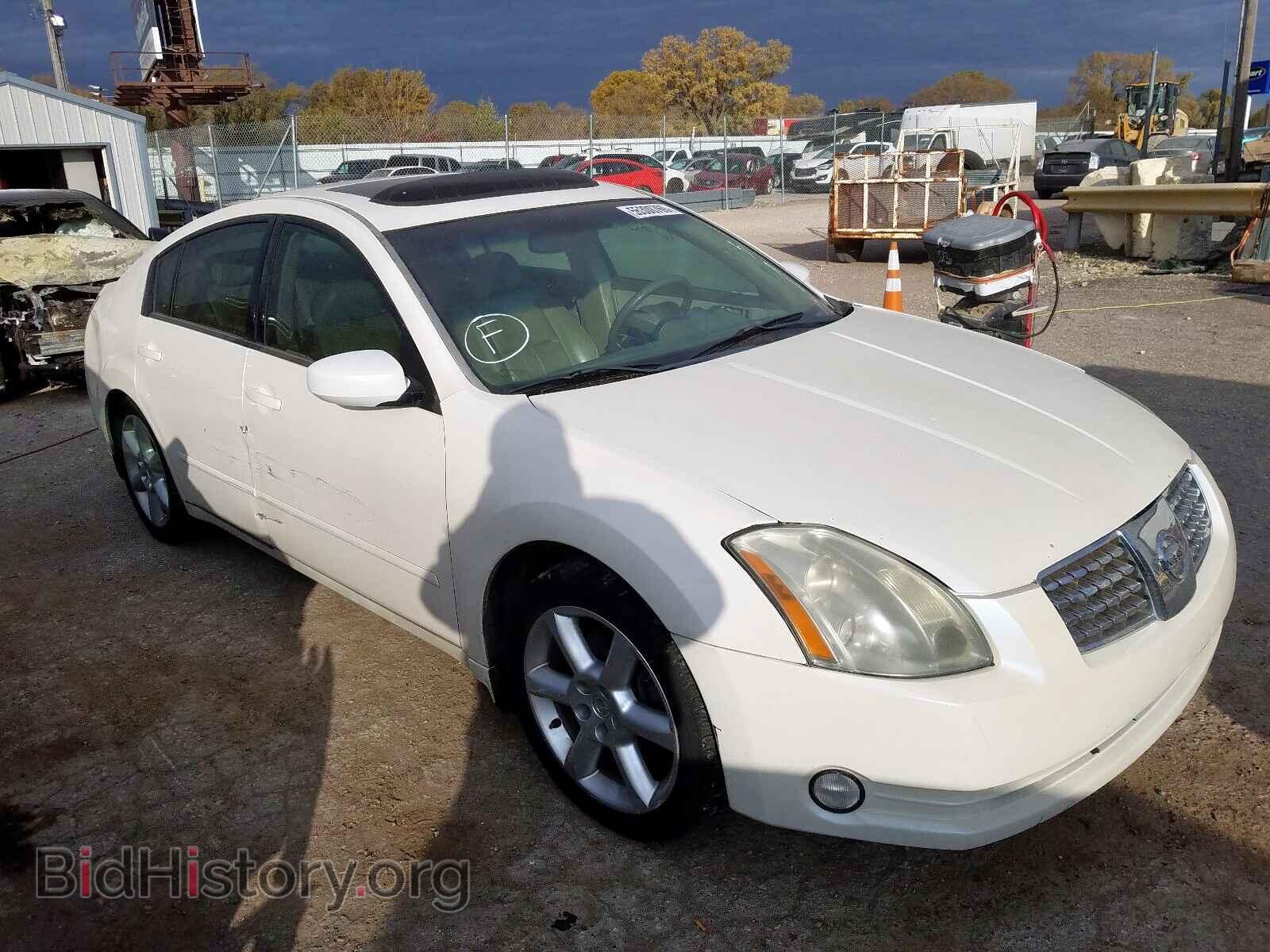 Photo 1N4BA41E75C849304 - NISSAN MAXIMA 2005