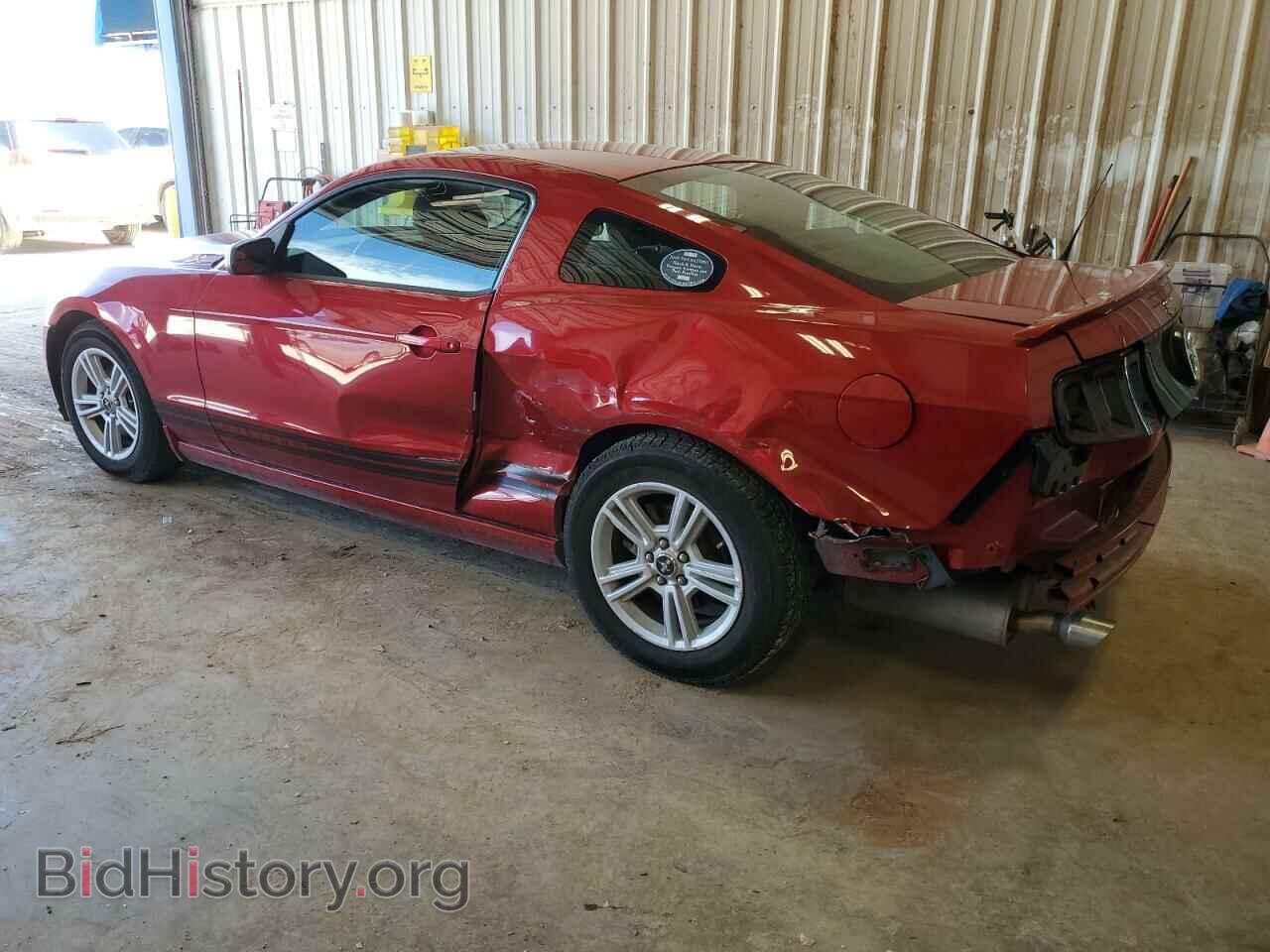 2013 FORD ALL Models - VIN: 1ZVBP8AM2D5254819 - Фото 2