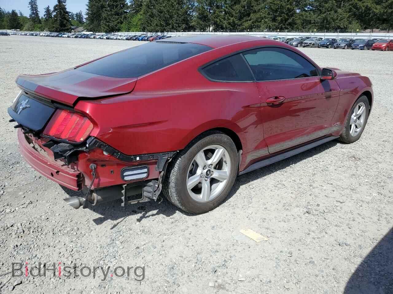 2017 FORD ALL Models - VIN: 1FA6P8AMXH5303071 - Фото 3