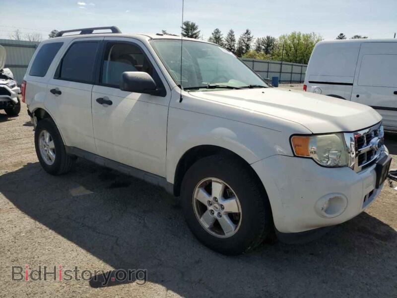 2010 Ford ESCAPE (VIN 1FMCU9D76AKB90062) — фото 4 из 14