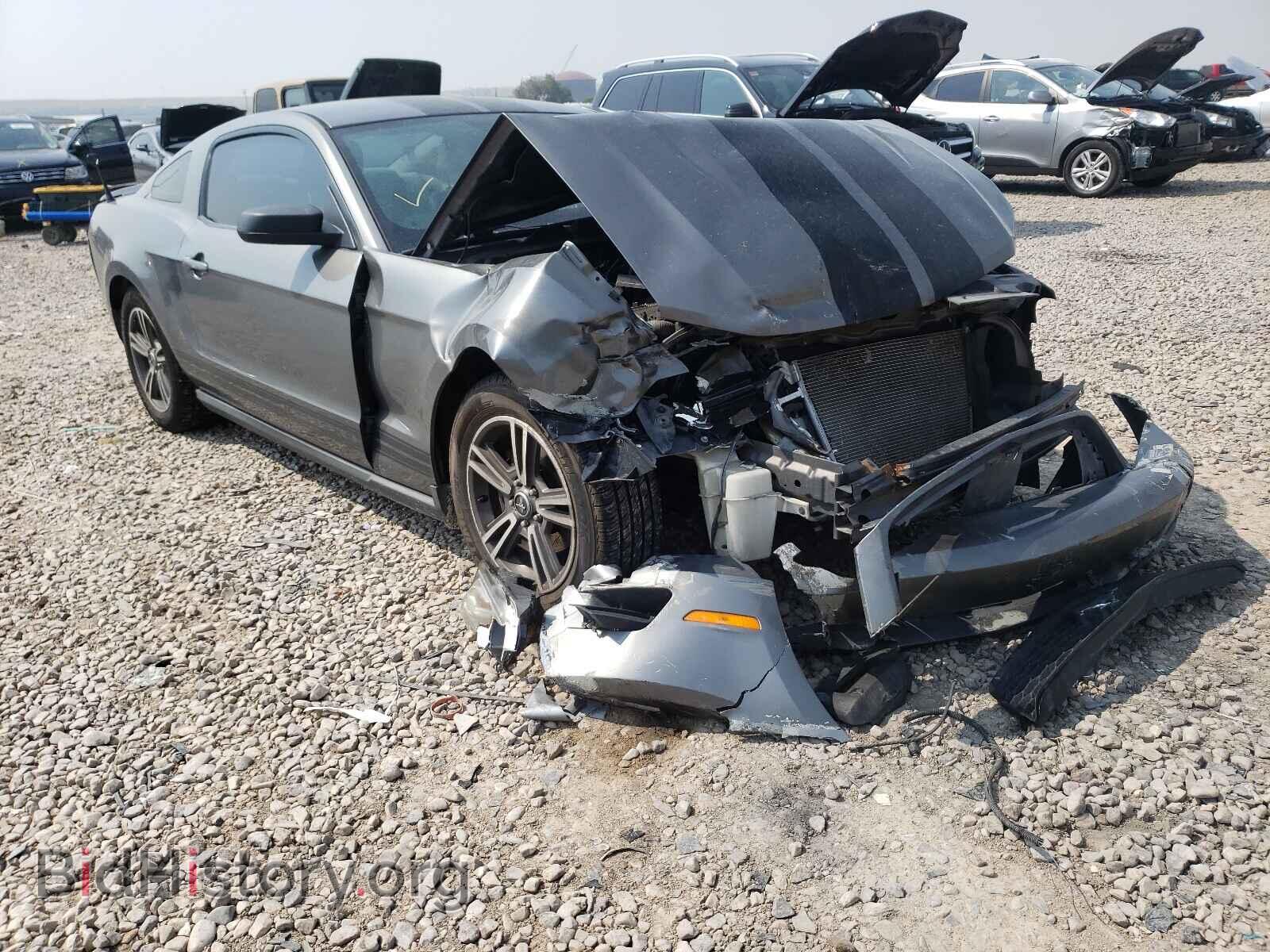 Фотография 1ZVBP8AN8A5131210 - FORD MUSTANG 2010