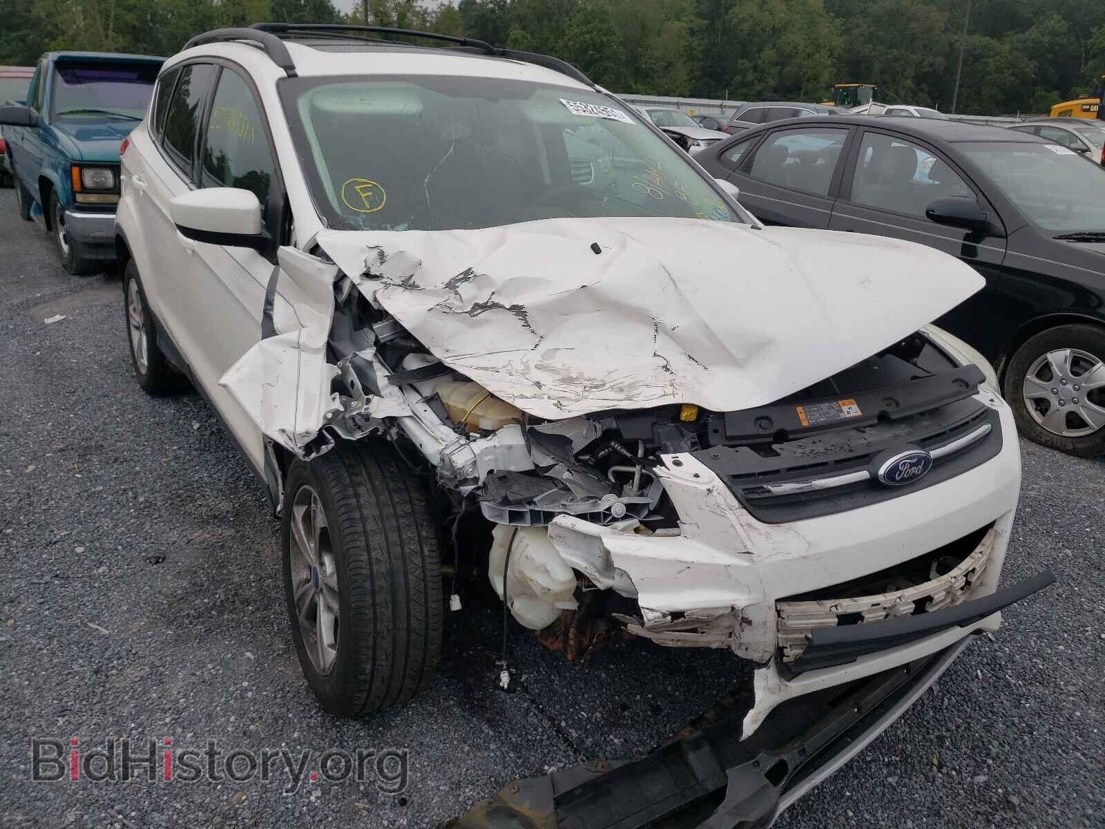 Фотография 1FMCU9G90DUD47459 - FORD ESCAPE 2013