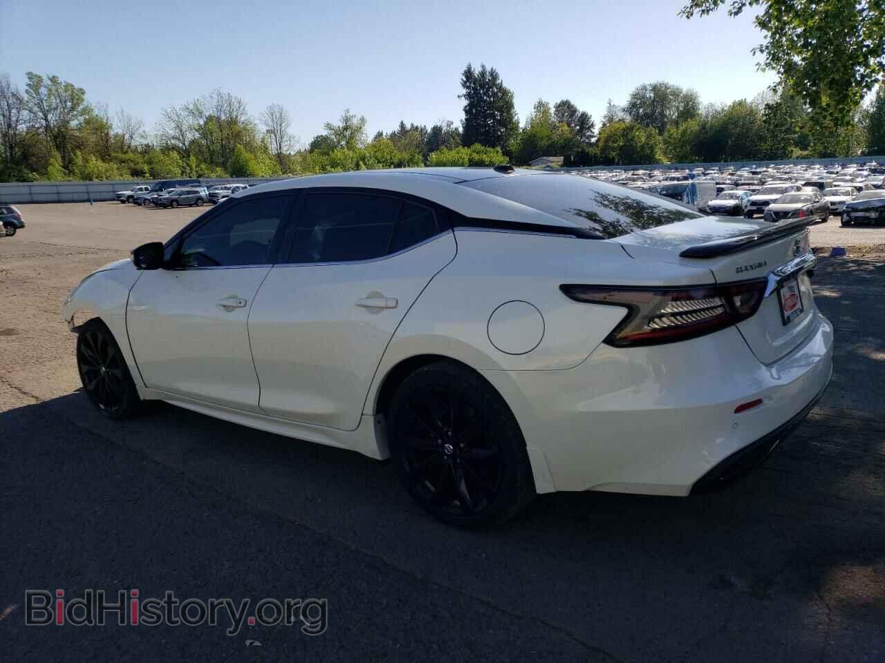 2020 NISSAN MAXIMA - VIN: 1N4AA6EV1LC368186 - Фото 2