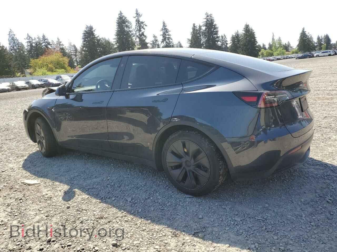 2024 TESLA MODEL Y - VIN: 7SAYGDED1RF100854 - Photo 2