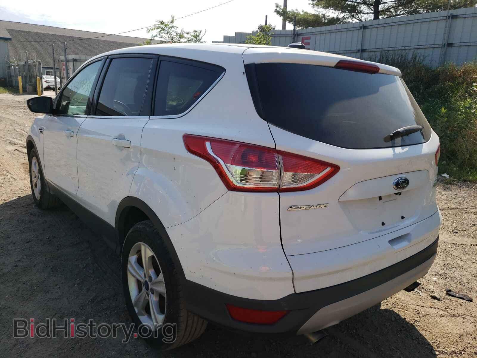 2014 FORD ESCAPE - VIN: 1FMCU9GX3EUD37850 - Фото 3