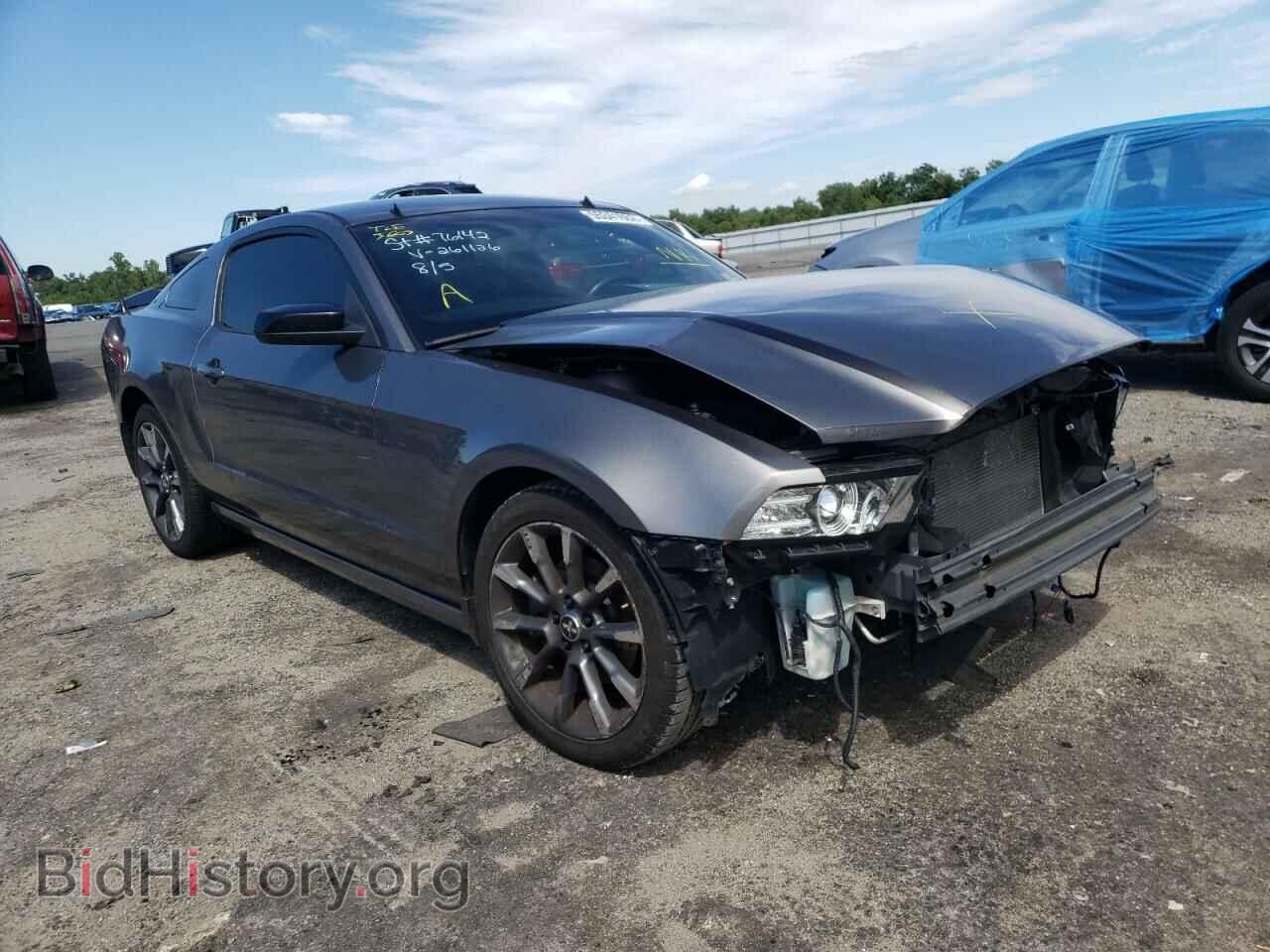 Фотография 1ZVBP8AM6D5261126 - FORD MUSTANG 2013
