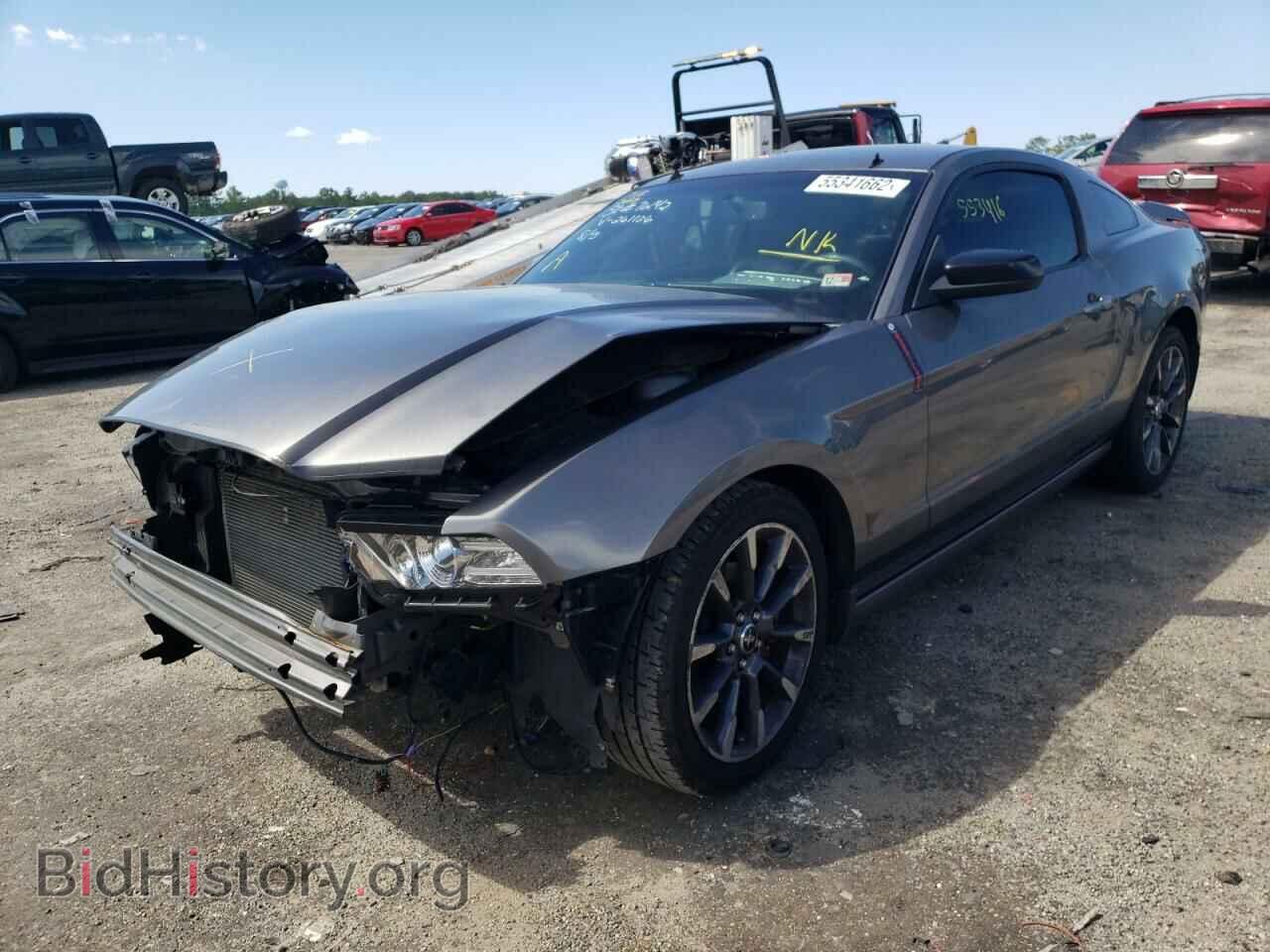 2013 FORD MUSTANG - VIN: 1ZVBP8AM6D5261126 - Фото 2
