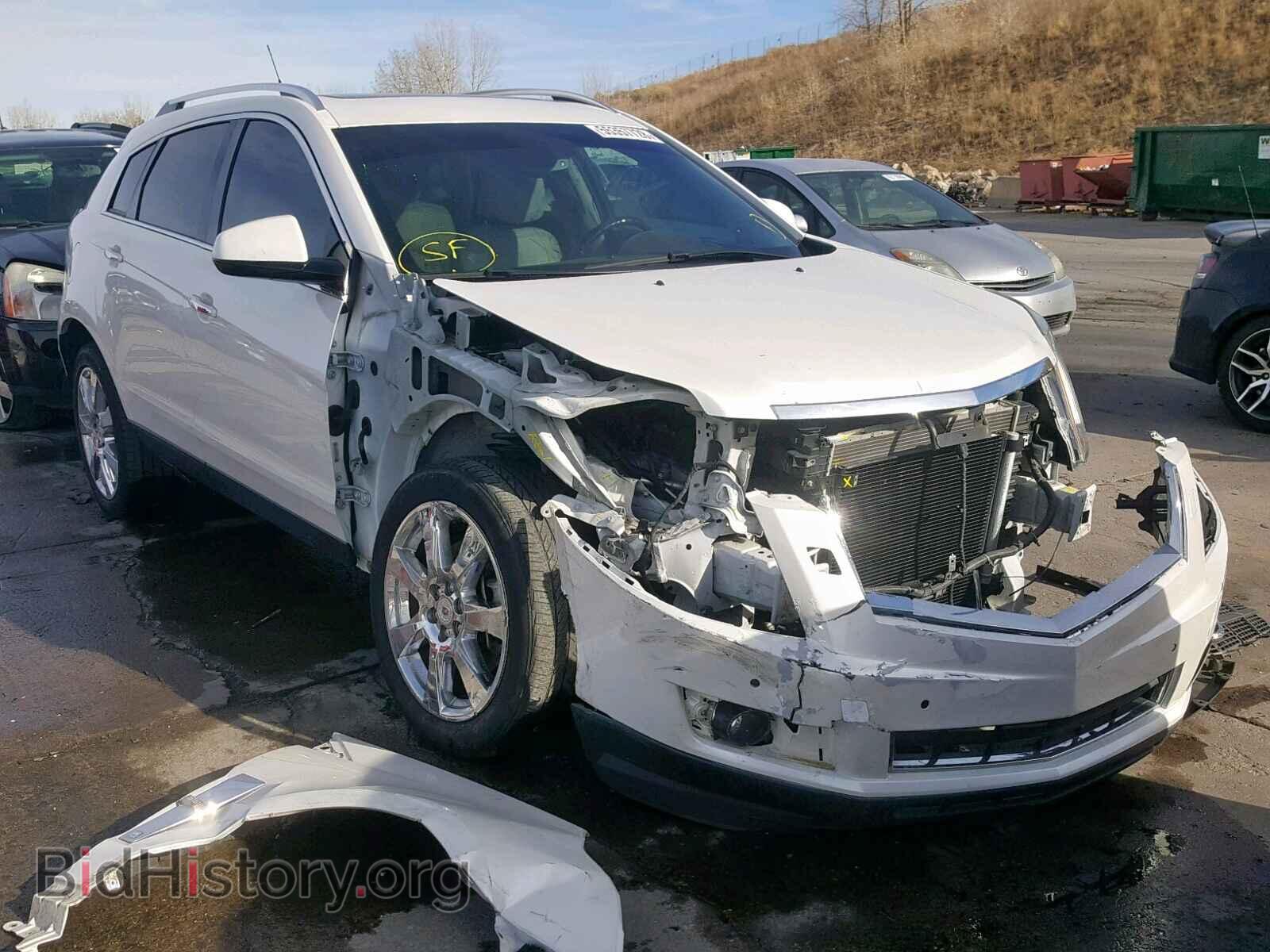 Фотография 3GYFNEE30CS545280 - CADILLAC SRX PERFOR 2012
