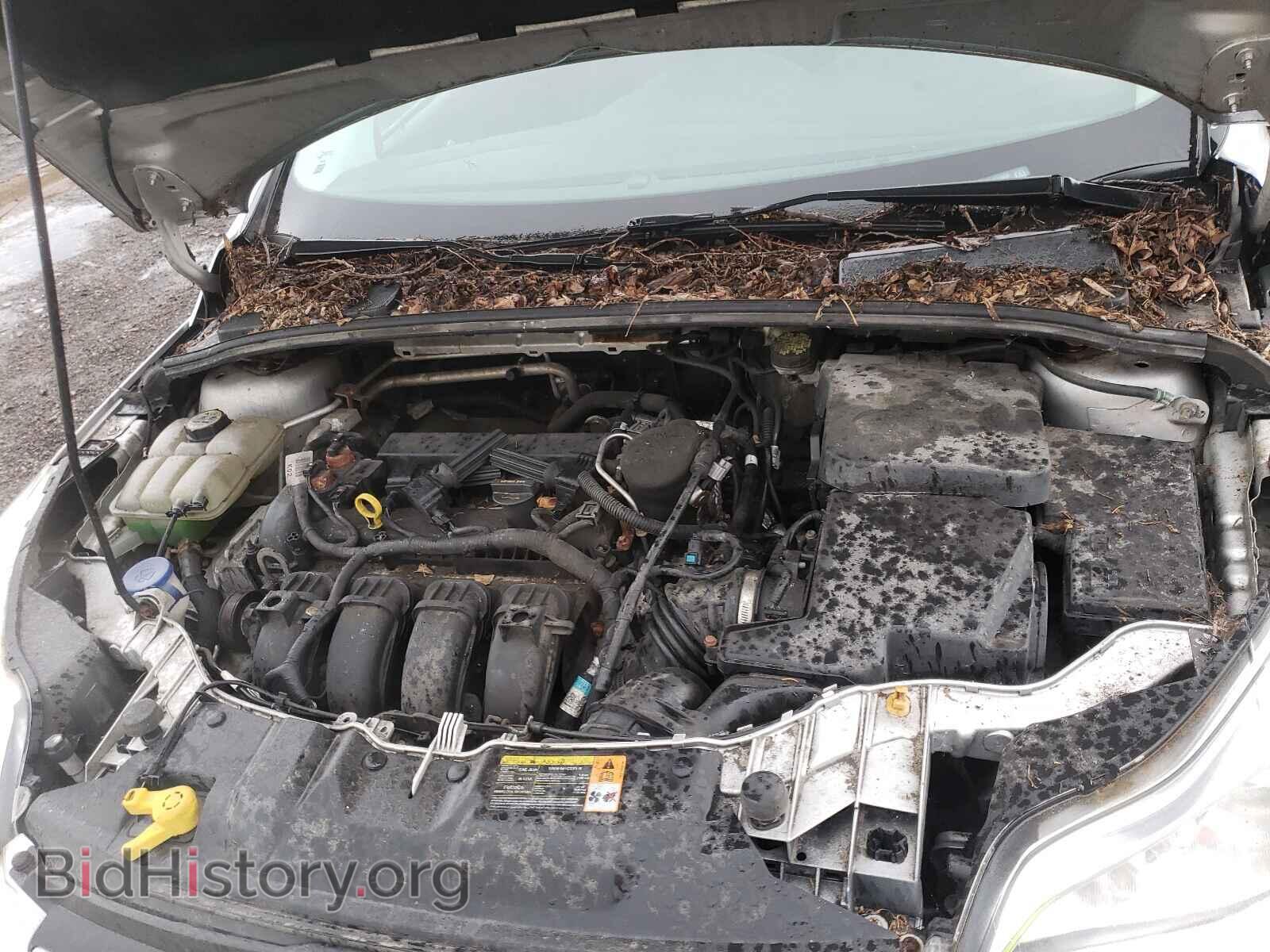 2013 FORD FOCUS - VIN: 1FADP3K29DL137008 - Фото 7