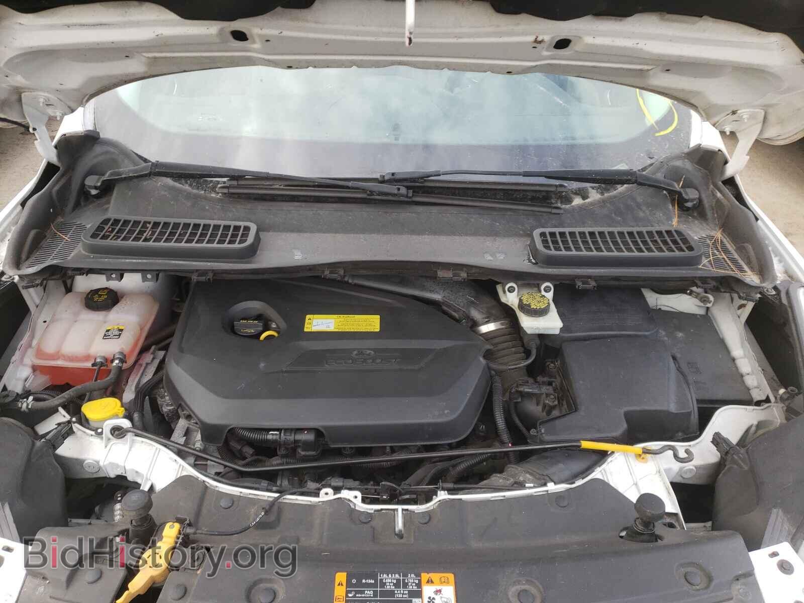 2013 FORD ESCAPE - VIN: 1FMCU0GX8DUA38283 - Фото 7