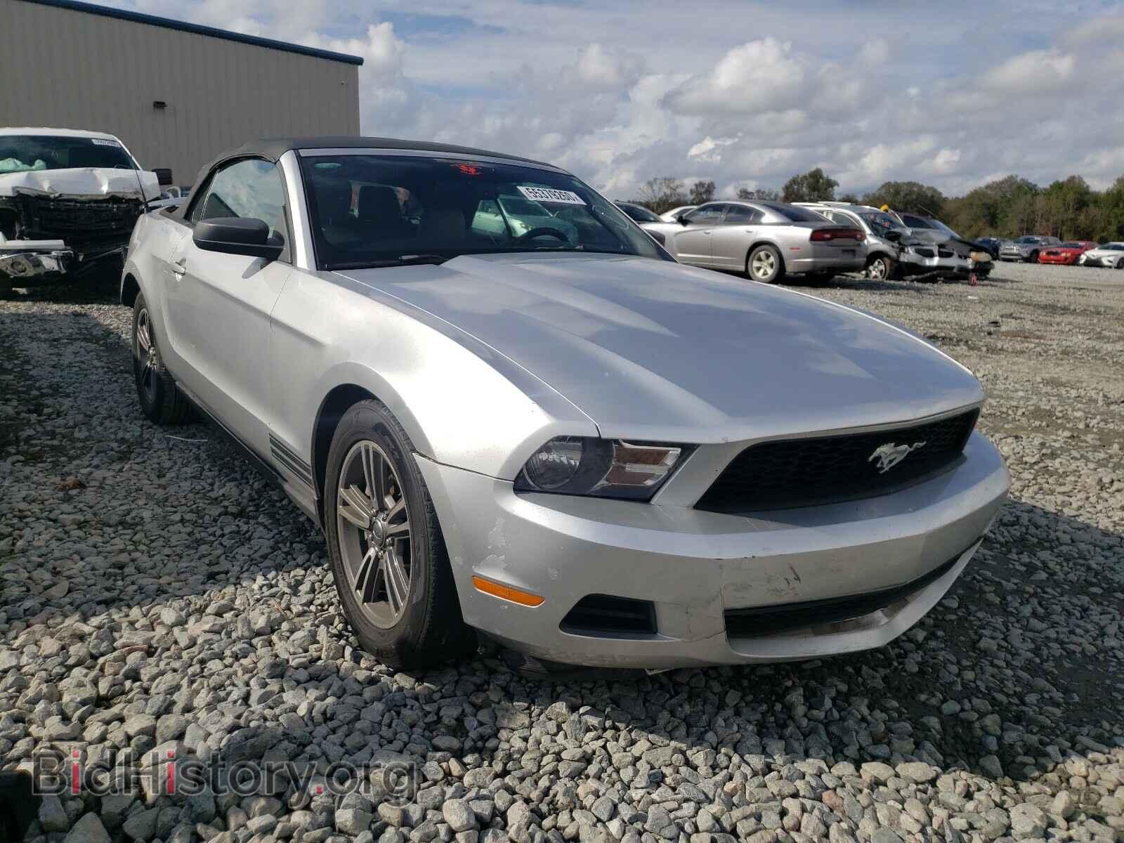 Photo 1ZVBP8EM7B5117902 - FORD MUSTANG 2011