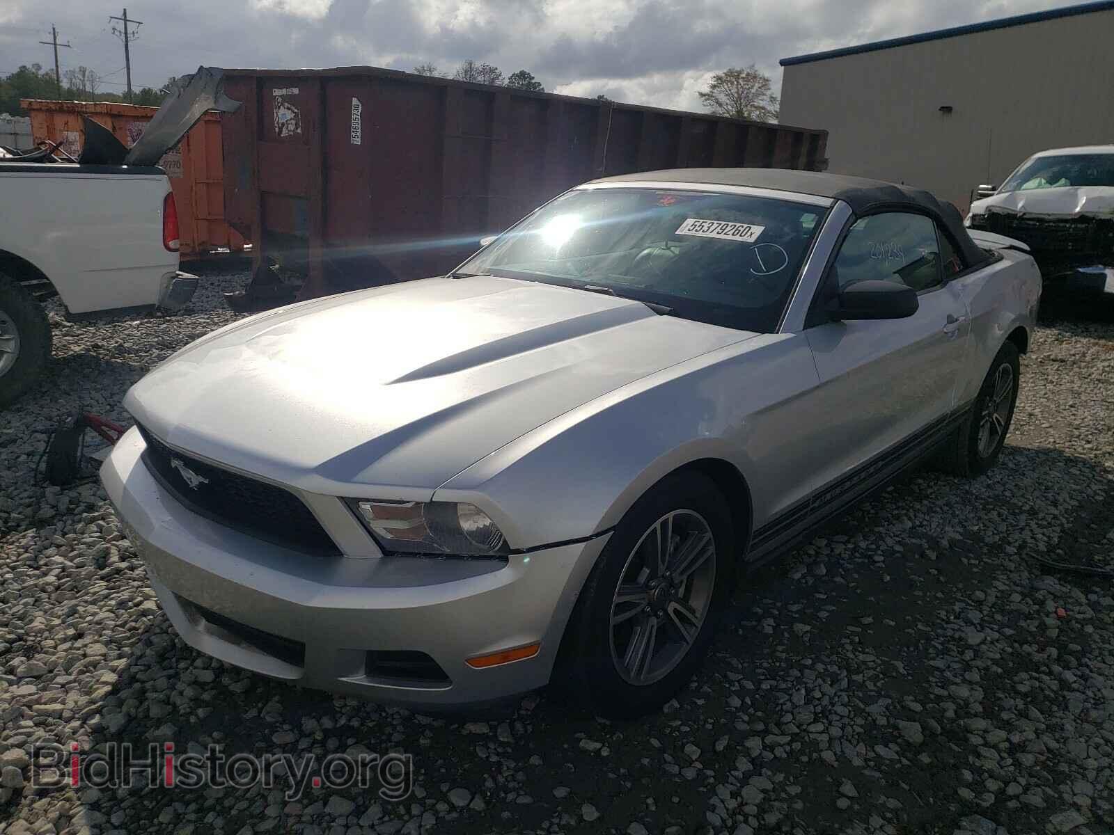 2011 FORD MUSTANG - VIN: 1ZVBP8EM7B5117902 - Фото 2