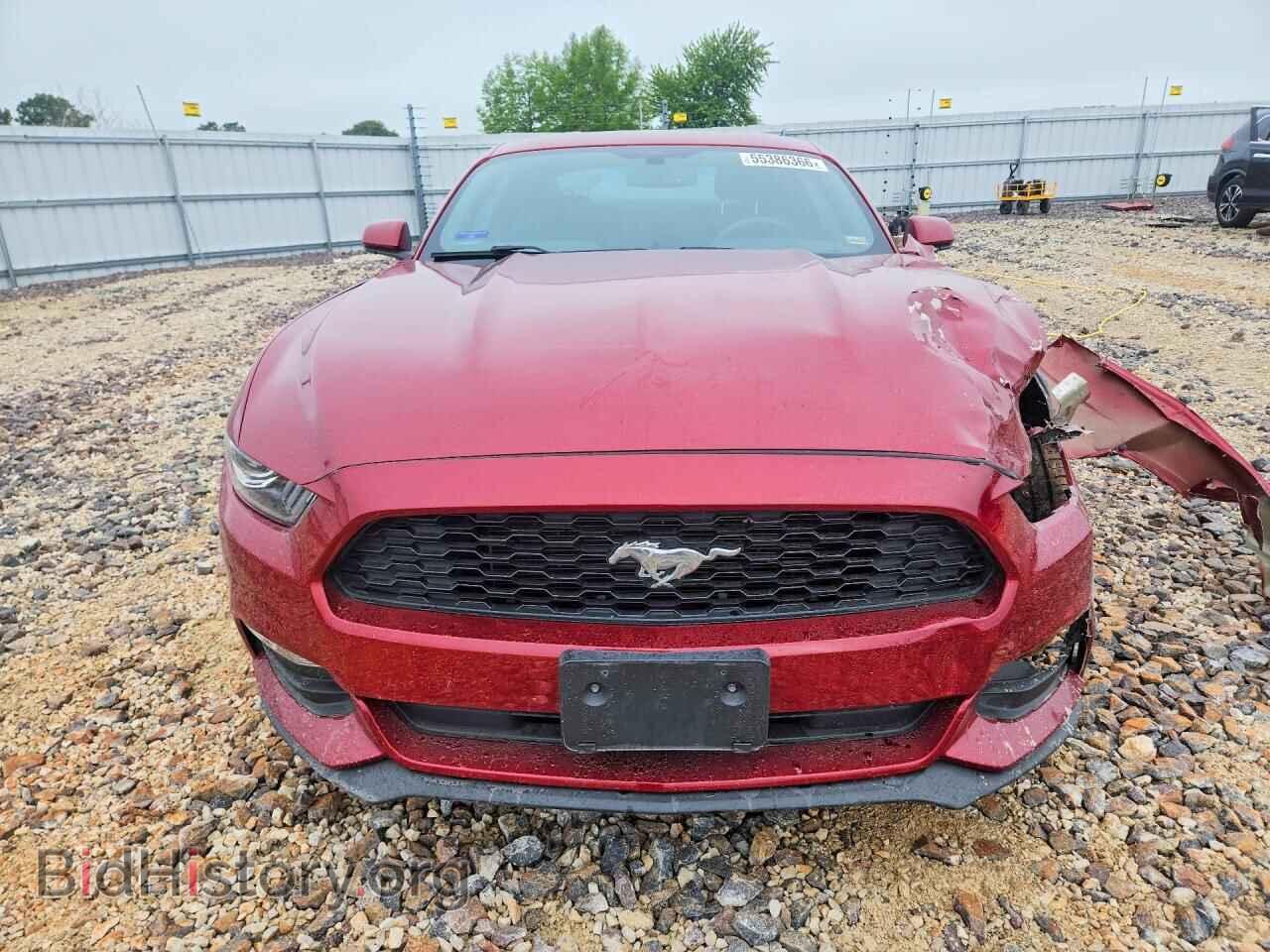 2017 FORD MUSTANG - VIN: 1FA6P8AM1H5286841 - Photo 5