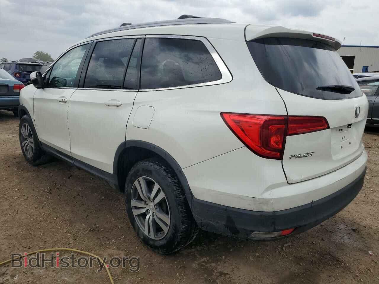 2017 HONDA PILOT - VIN: 5FNYF6H57HB014981 - Фото 2