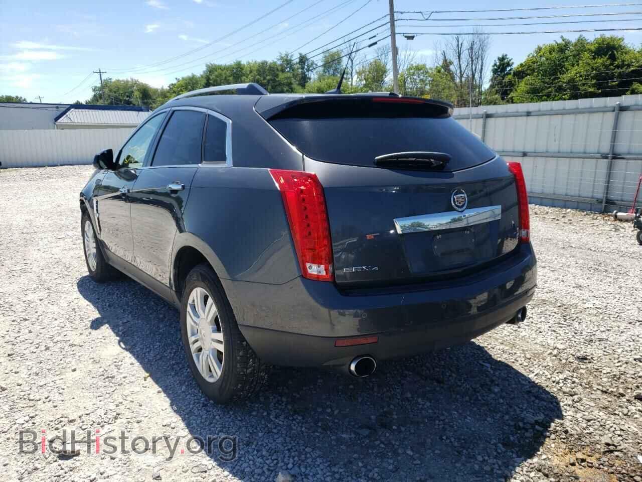 2010 CADILLAC SRX - VIN: 3GYFNDEY9AS622263 - Фото 3
