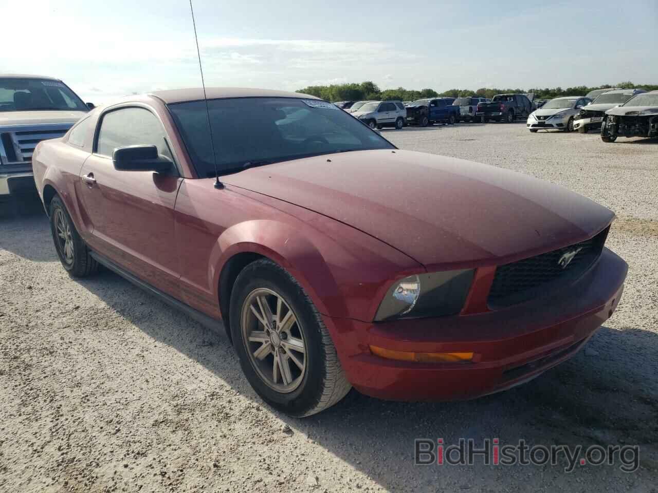 Photo 1ZVHT80N585171732 - FORD MUSTANG 2008