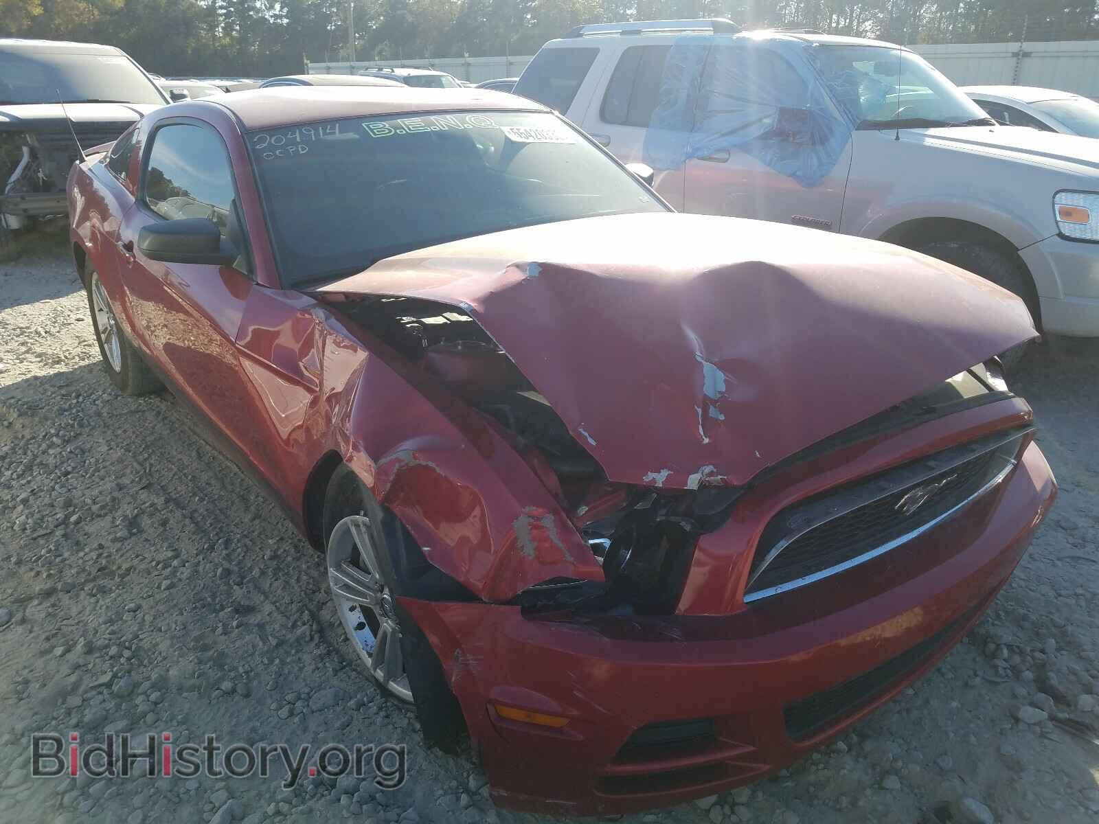 Фотография 1ZVBP8AM8D5277179 - FORD MUSTANG 2013