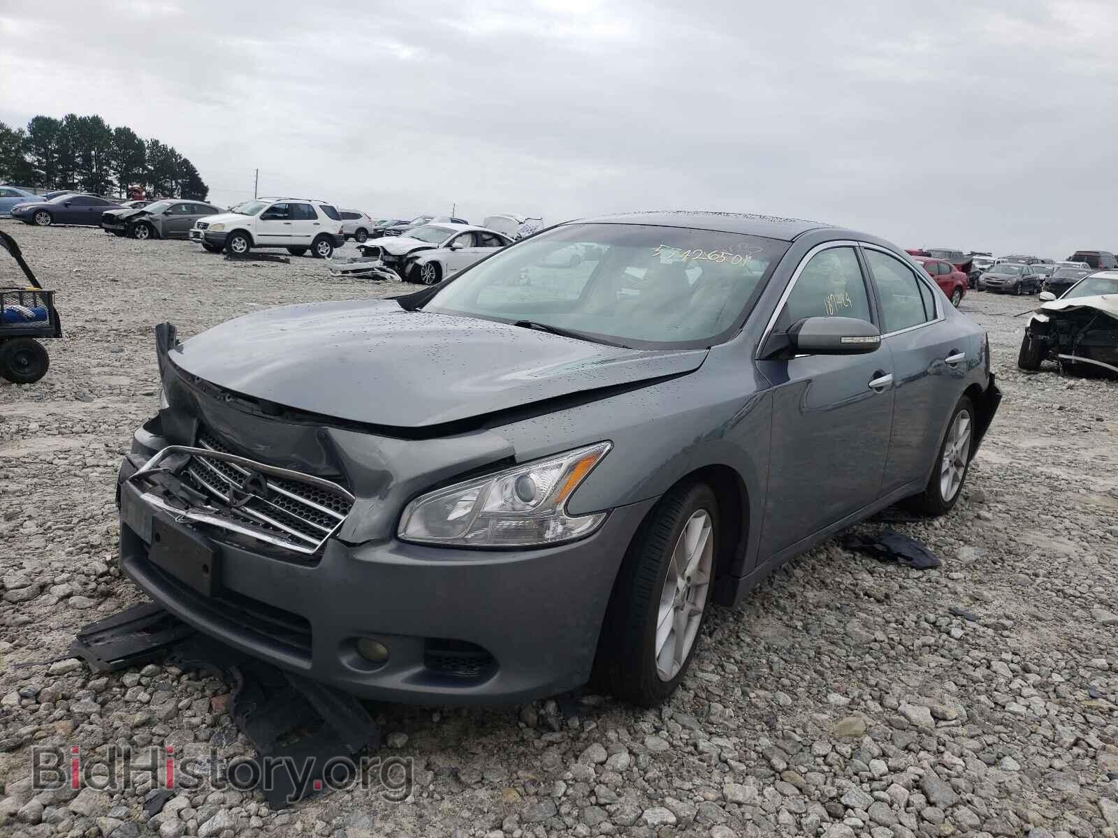 2009 NISSAN MAXIMA - VIN: 1N4AA51E39C846133 - Фото 2