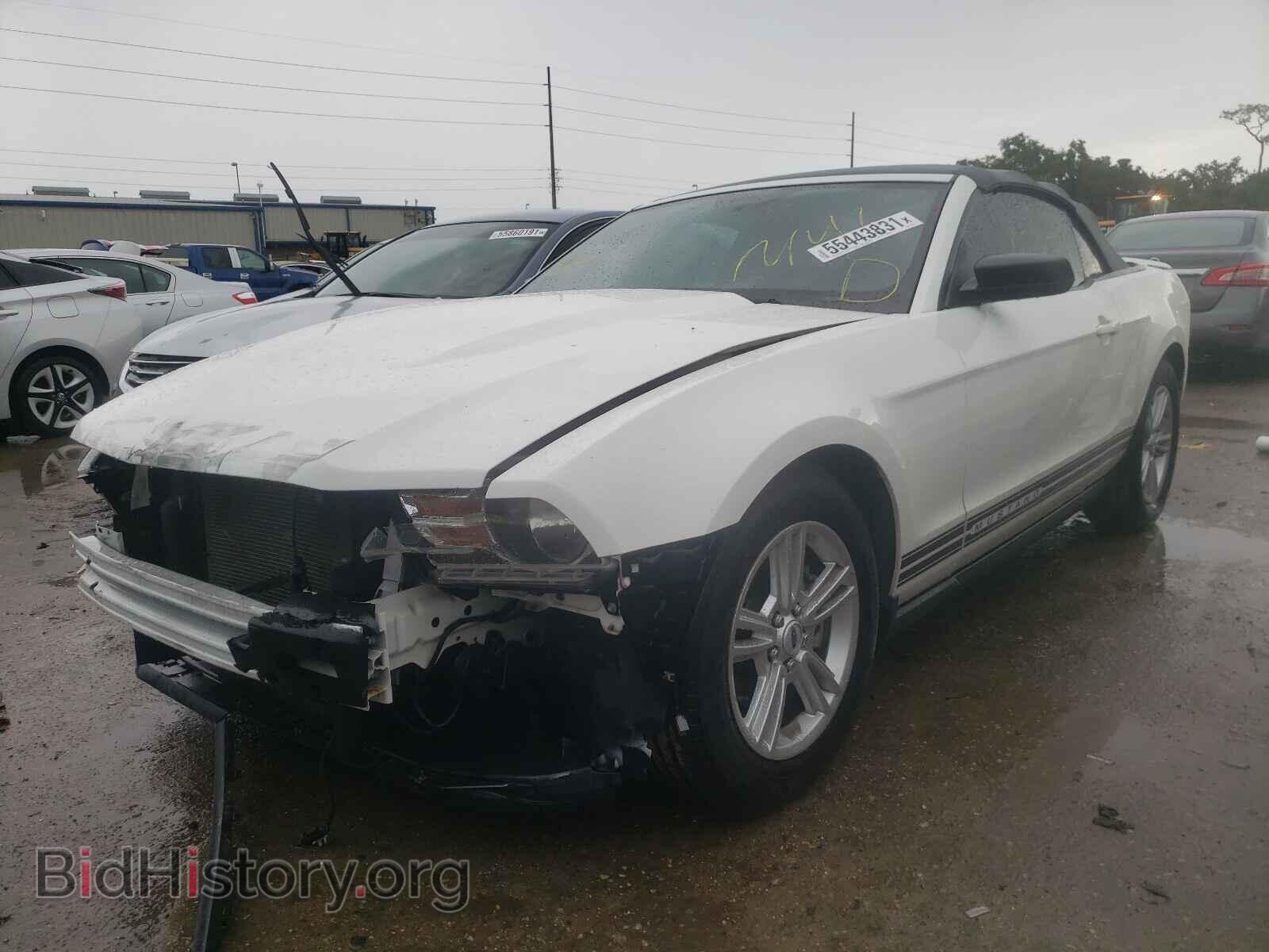 2012 FORD MUSTANG - VIN: 1ZVBP8EMXC5226047 - Фото 2