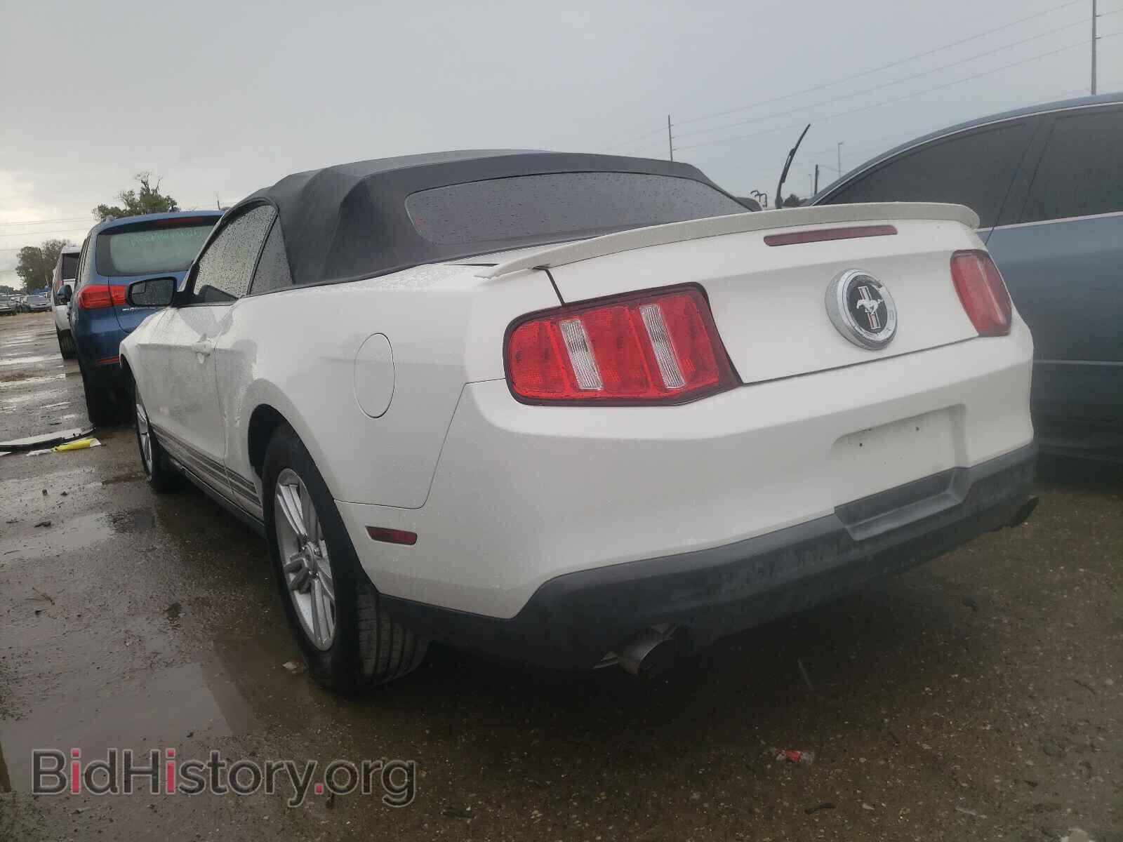 2012 FORD MUSTANG - VIN: 1ZVBP8EMXC5226047 - Фото 3