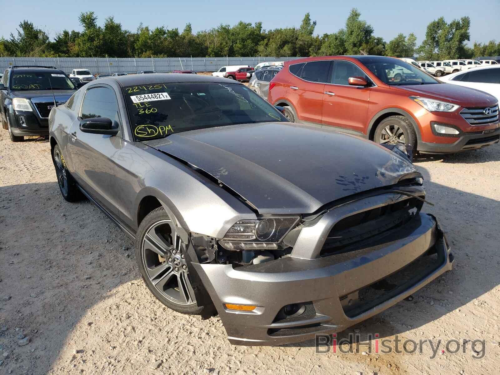 Photo 1ZVBP8AM9E5224251 - FORD MUSTANG 2014