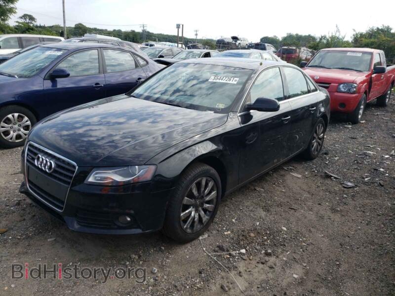 2011 Audi A4 (VIN WAUFFAFL1BN048237) — фото 2 из 10