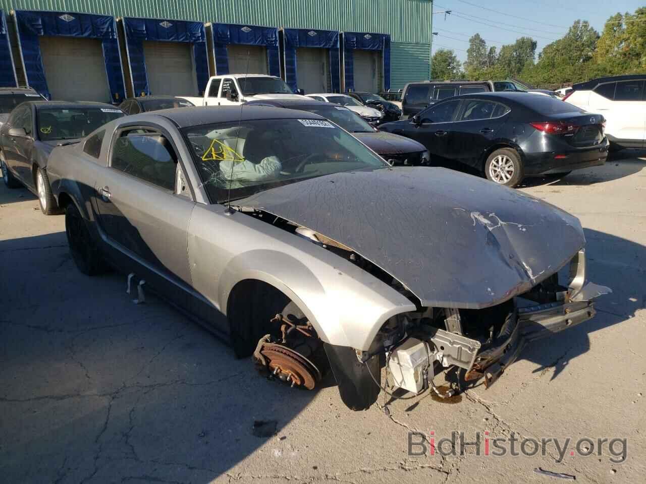 Photo 1ZVHT80NX85172293 - FORD MUSTANG 2008