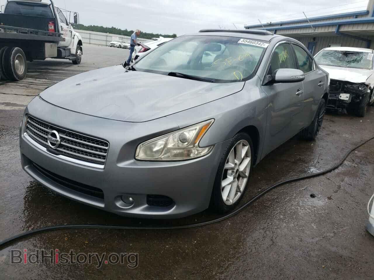 2009 NISSAN MAXIMA - VIN: 1N4AA51E29C842560 - Фото 2