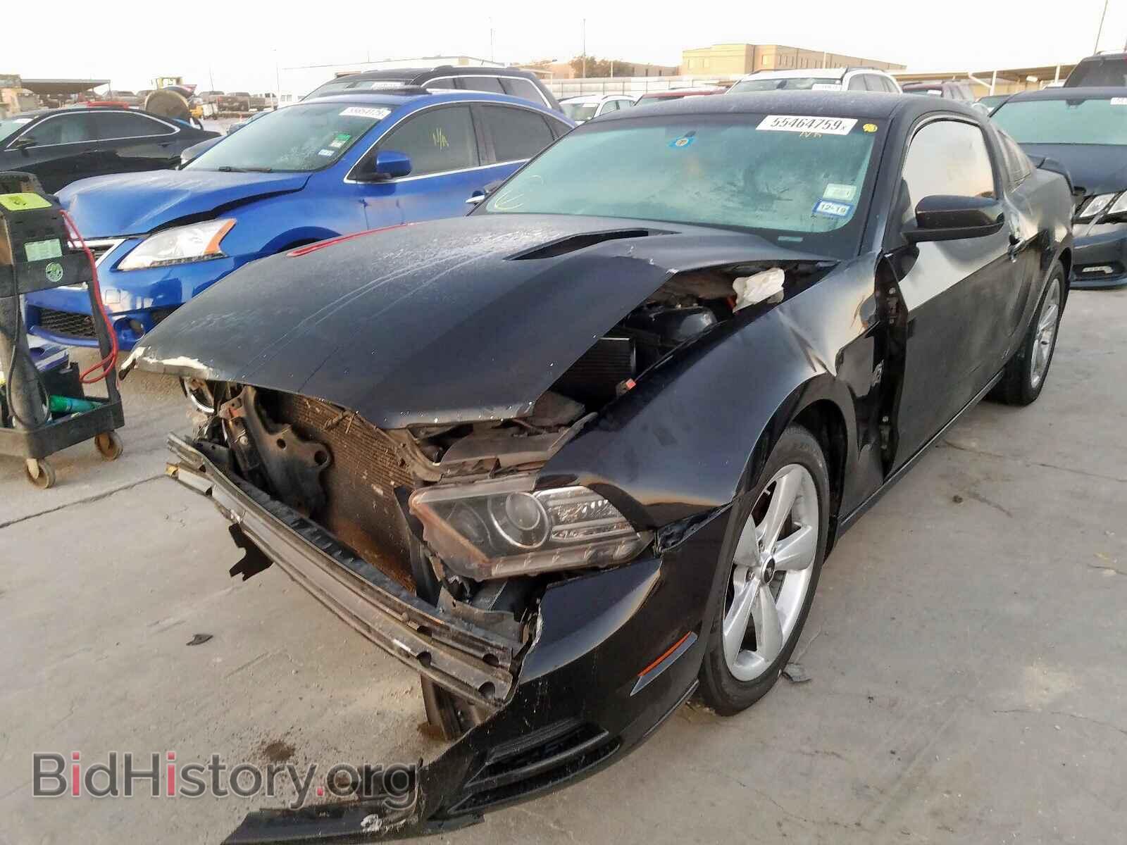 2013 FORD MUSTANG GT - VIN: 1ZVBP8CF3D5259011 - Photo 2