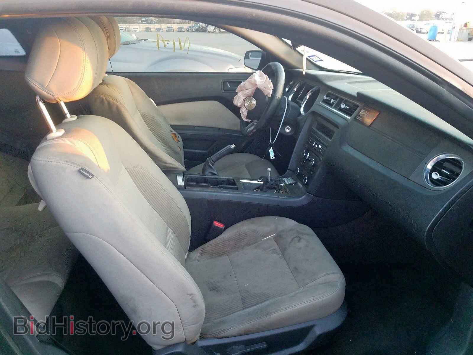 2013 FORD MUSTANG GT - VIN: 1ZVBP8CF3D5259011 - Photo 5